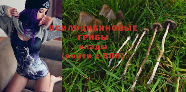 jwh Зеленокумск
